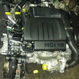 Citroen Dv6 1.6 Hdi Motor