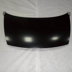 Citroen C3 Kaput